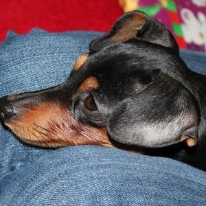 Meet your Posher, Sharon